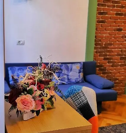 ゲストハウス Casa Crown ブラショフ